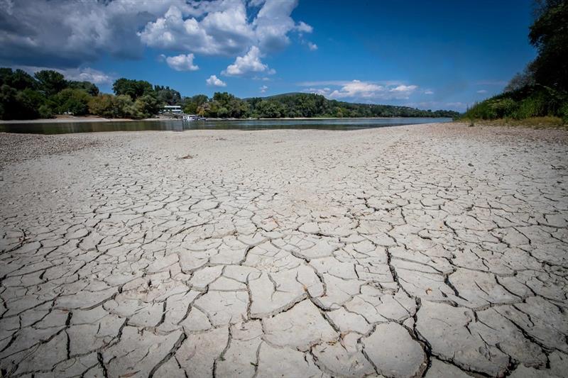 Danube Drought