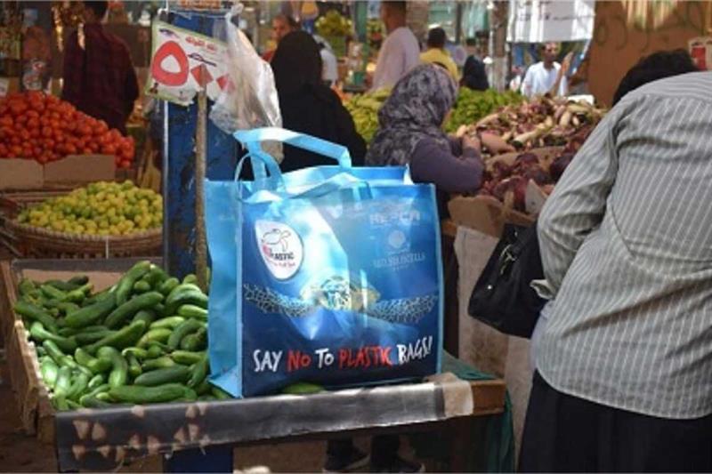 Egypt plans to decrease annual consumption of plastic bags to 100 per capita by 2025: Environment minister