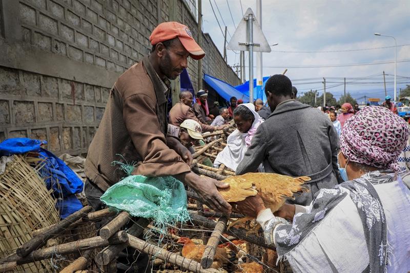 Ethiopia economy
