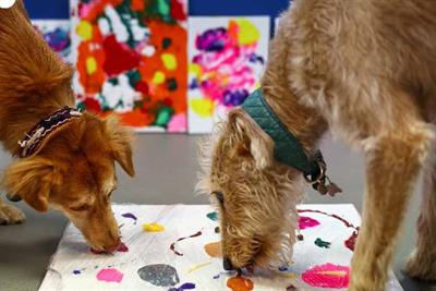 Art for bark's sake: Stray dogs take up painting for UK charity