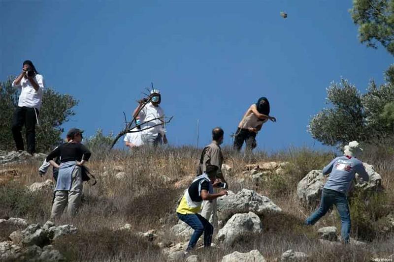Masked Israeli settlers attack Palestinian olive farmers from the village of Hawara on fields near t