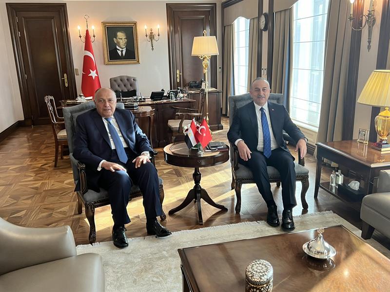 FM Sameh Shoukry and his Turkish counterpart FM Mevl t  avu o lu 
