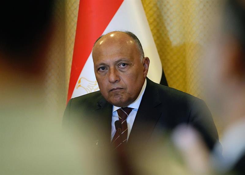 Egyptian Foreign Affairs Minister Sameh Shoukry, AP