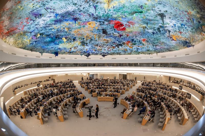 The Human Rights Council during a special session devoted to Sudan. 