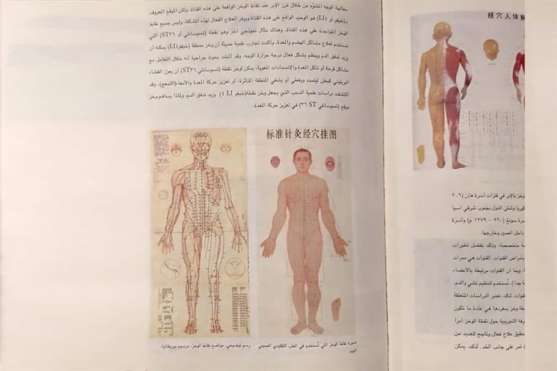 Chinese Traditional Medicine book