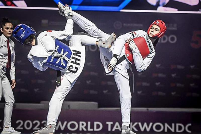 The Taekwondo World Championships