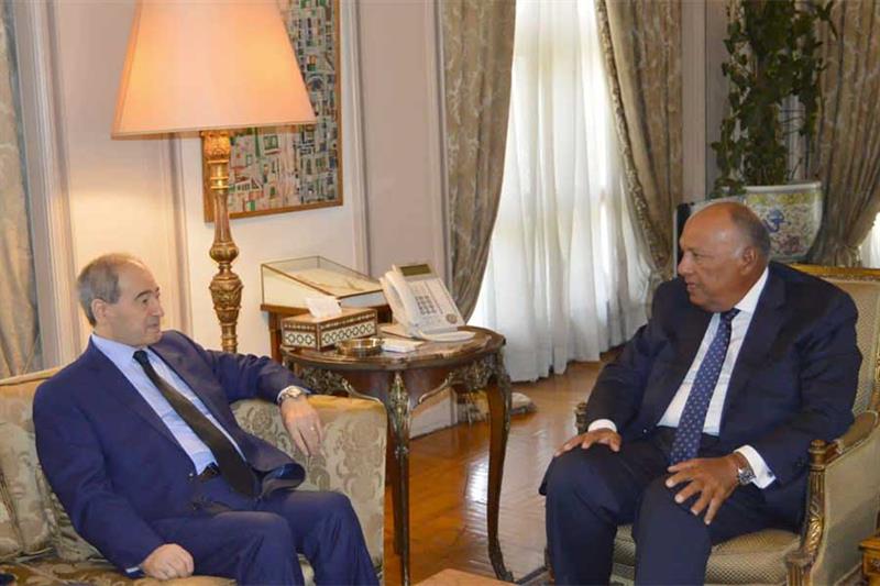 Egypt s Minister of Foreign Affairs Sameh Shoukry and his Syrian counterpart, Faisal Mekdad