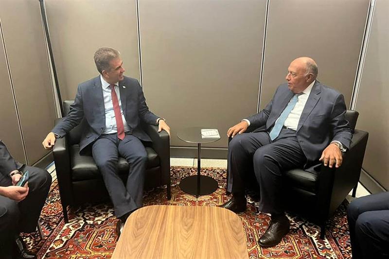 Shoukry and Cohen 