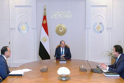 Egyptian healthcare system playing key role in alleviating suffering of Palestinians in Gaza: Sisi 